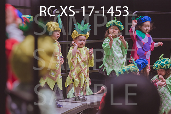 RC-XS-17-1453.jpg