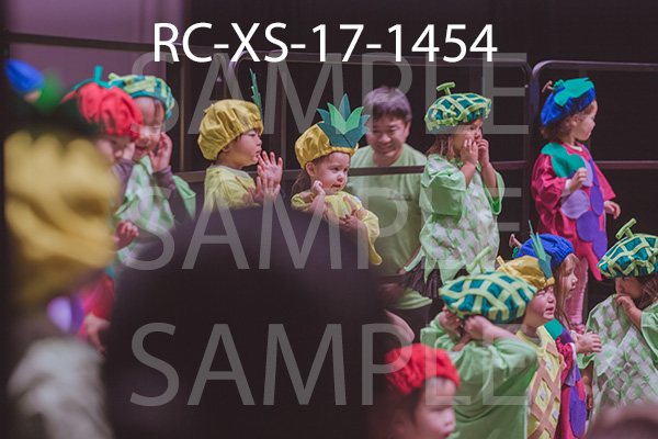 RC-XS-17-1454.jpg