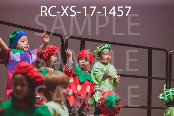 RC-XS-17-1457.jpg