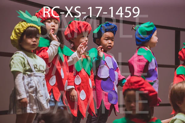 RC-XS-17-1459.jpg