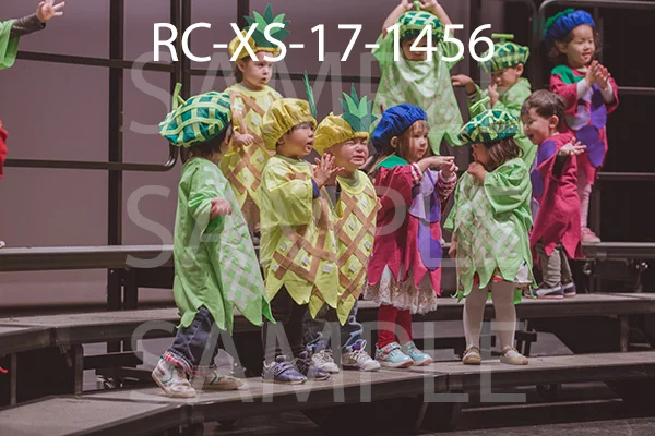 RC-XS-17-1456.jpg