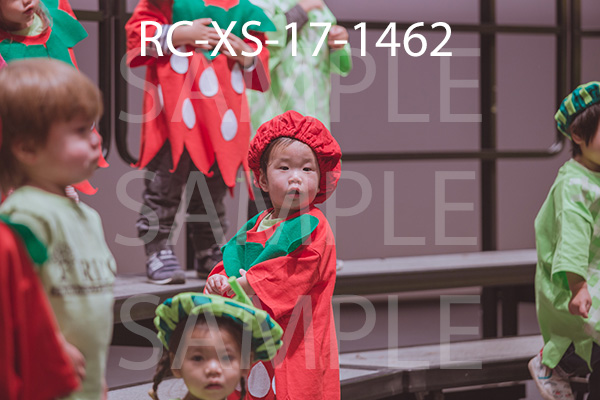 RC-XS-17-1462.jpg