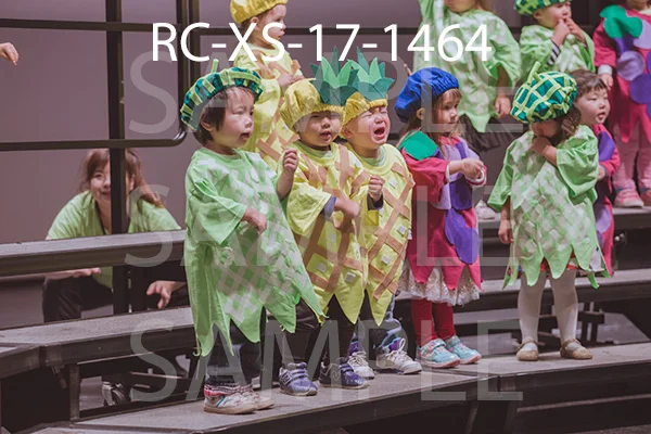 RC-XS-17-1464.jpg