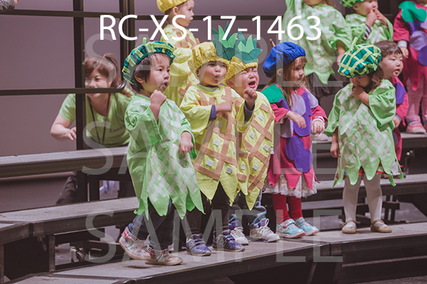 RC-XS-17-1463.jpg