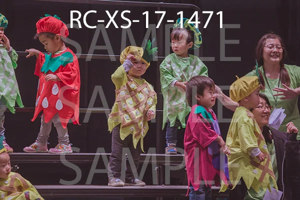 RC-XS-17-1471.jpg