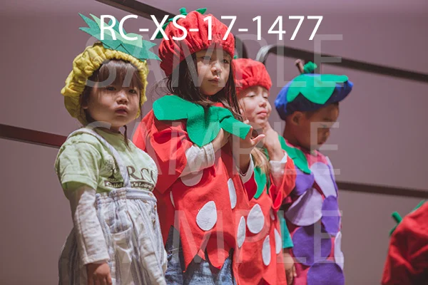 RC-XS-17-1477.jpg