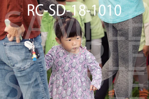 RC-SD-18-1010.jpg