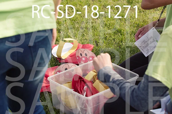 RC-SD-18-1271.jpg