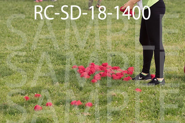 RC-SD-18-1400.jpg