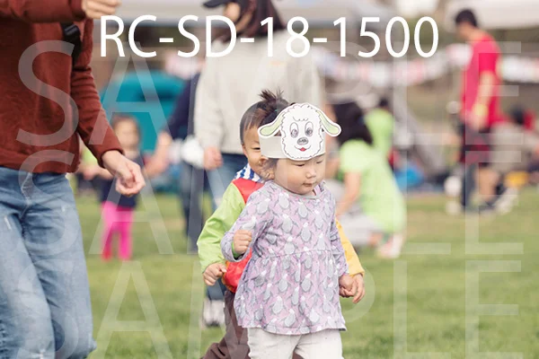 RC-SD-18-1500.jpg