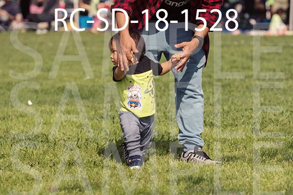 RC-SD-18-1528.jpg