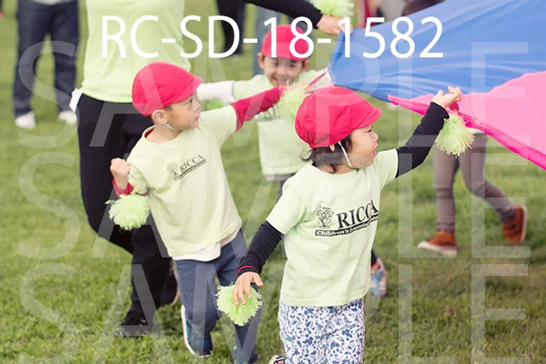 RC-SD-18-1582.jpg