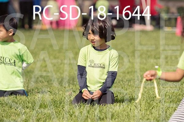 RC-SD-18-1644.jpg