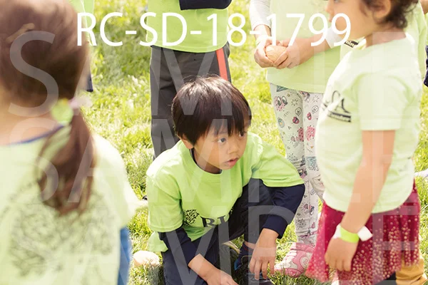 RC-SD-18-1799.jpg