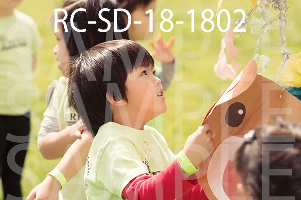 RC-SD-18-1802.jpg