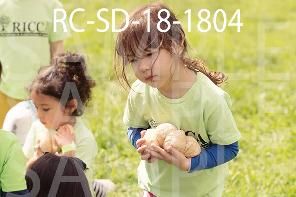 RC-SD-18-1804.jpg