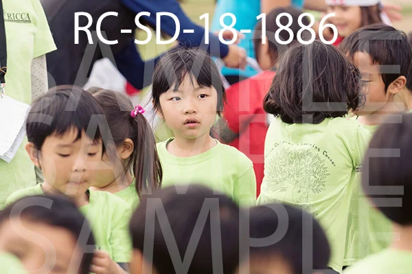 RC-SD-18-1886.jpg