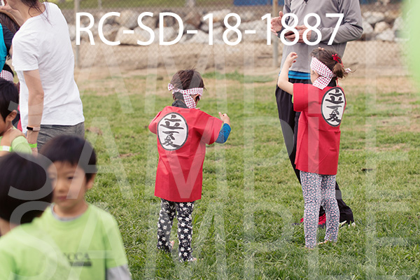 RC-SD-18-1887.jpg