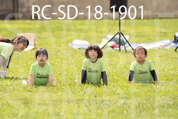 RC-SD-18-1901.jpg