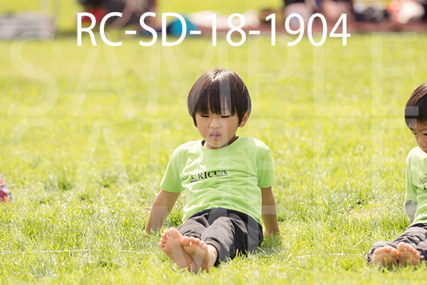 RC-SD-18-1904.jpg