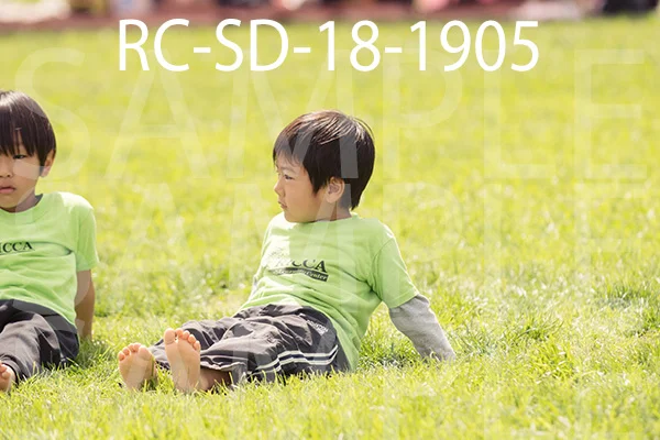 RC-SD-18-1905.jpg