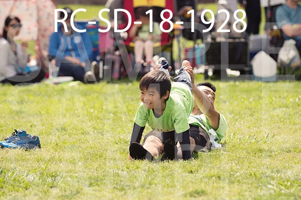 RC-SD-18-1928.jpg