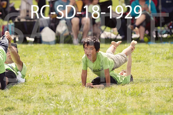 RC-SD-18-1929.jpg