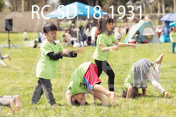 RC-SD-18-1931.jpg