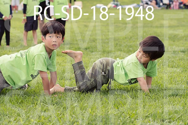 RC-SD-18-1948.jpg