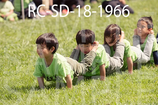 RC-SD-18-1966.jpg