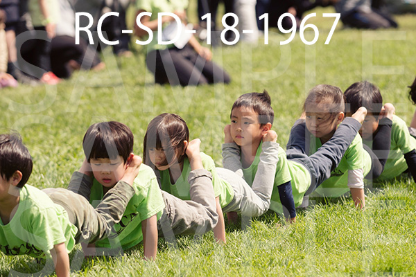RC-SD-18-1967.jpg