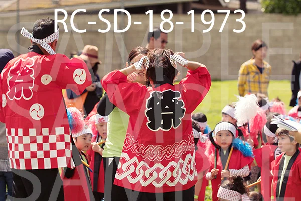 RC-SD-18-1973.jpg
