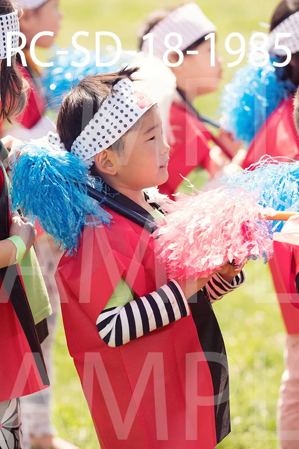 RC-SD-18-1985.jpg