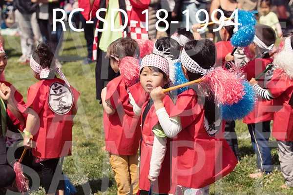 RC-SD-18-1994.jpg