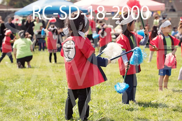 RC-SD-18-2000.jpg
