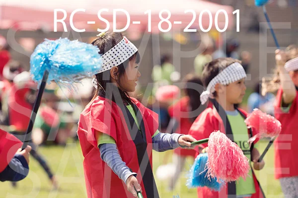 RC-SD-18-2001.jpg
