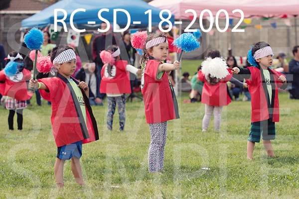 RC-SD-18-2002.jpg