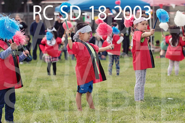 RC-SD-18-2003.jpg
