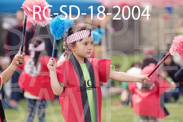 RC-SD-18-2004.jpg