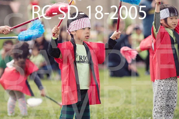 RC-SD-18-2005.jpg