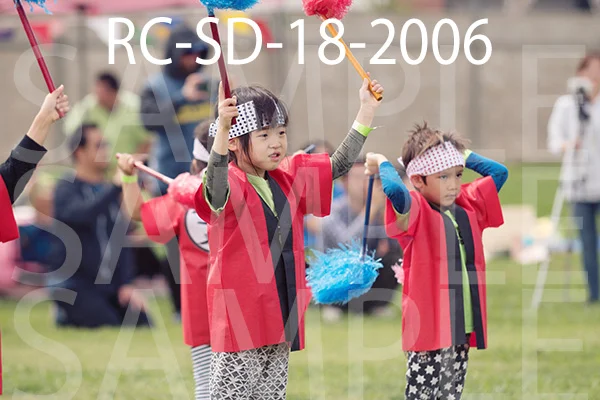 RC-SD-18-2006.jpg