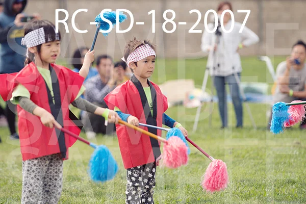 RC-SD-18-2007.jpg