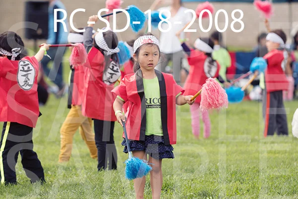RC-SD-18-2008.jpg