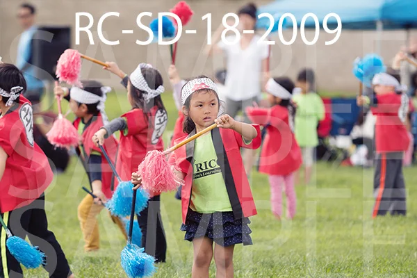 RC-SD-18-2009.jpg