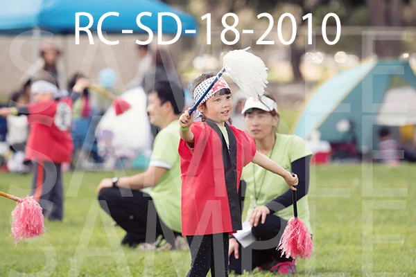 RC-SD-18-2010.jpg