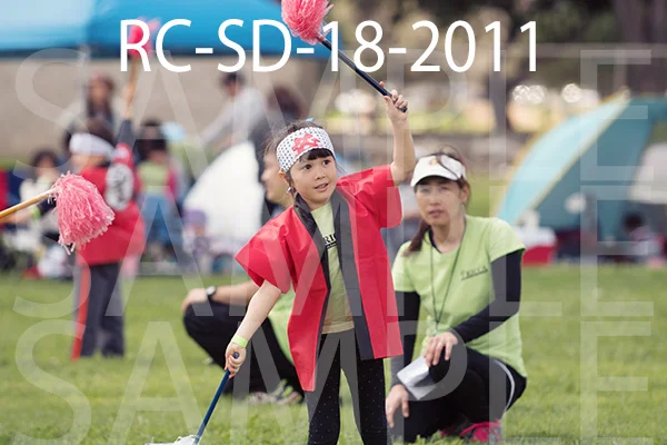 RC-SD-18-2011.jpg