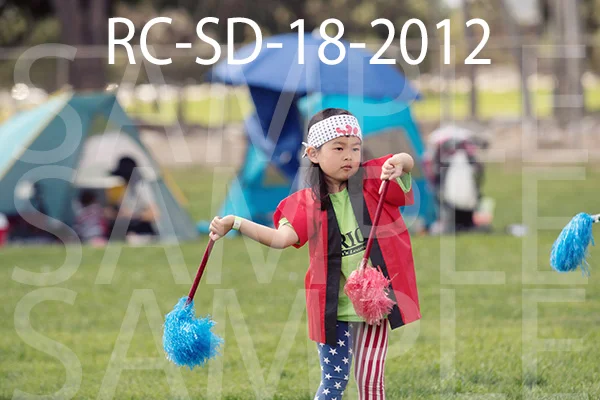 RC-SD-18-2012.jpg