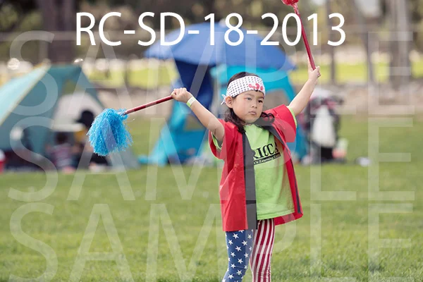 RC-SD-18-2013.jpg