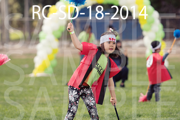 RC-SD-18-2014.jpg