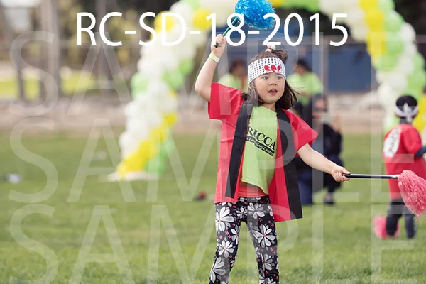 RC-SD-18-2015.jpg